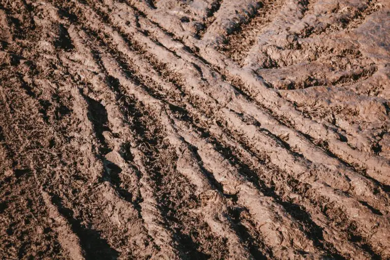 Spiritual Meaning of Dreaming of Mud: Interpretation and Symbolism