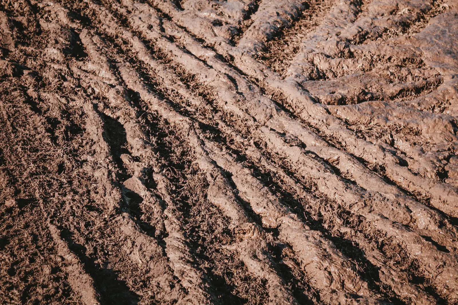 a close up of a tire track in the dirt