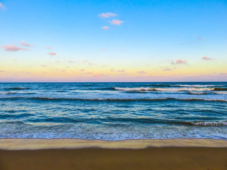 Seashore With Sea Waves during Daytime