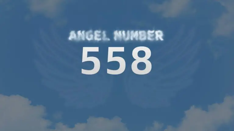Discover the Meaning of Angel Number 558 and Its Powerful Message