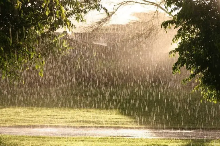 Raining While the Sun is Out: Exploring the Spiritual Meaning