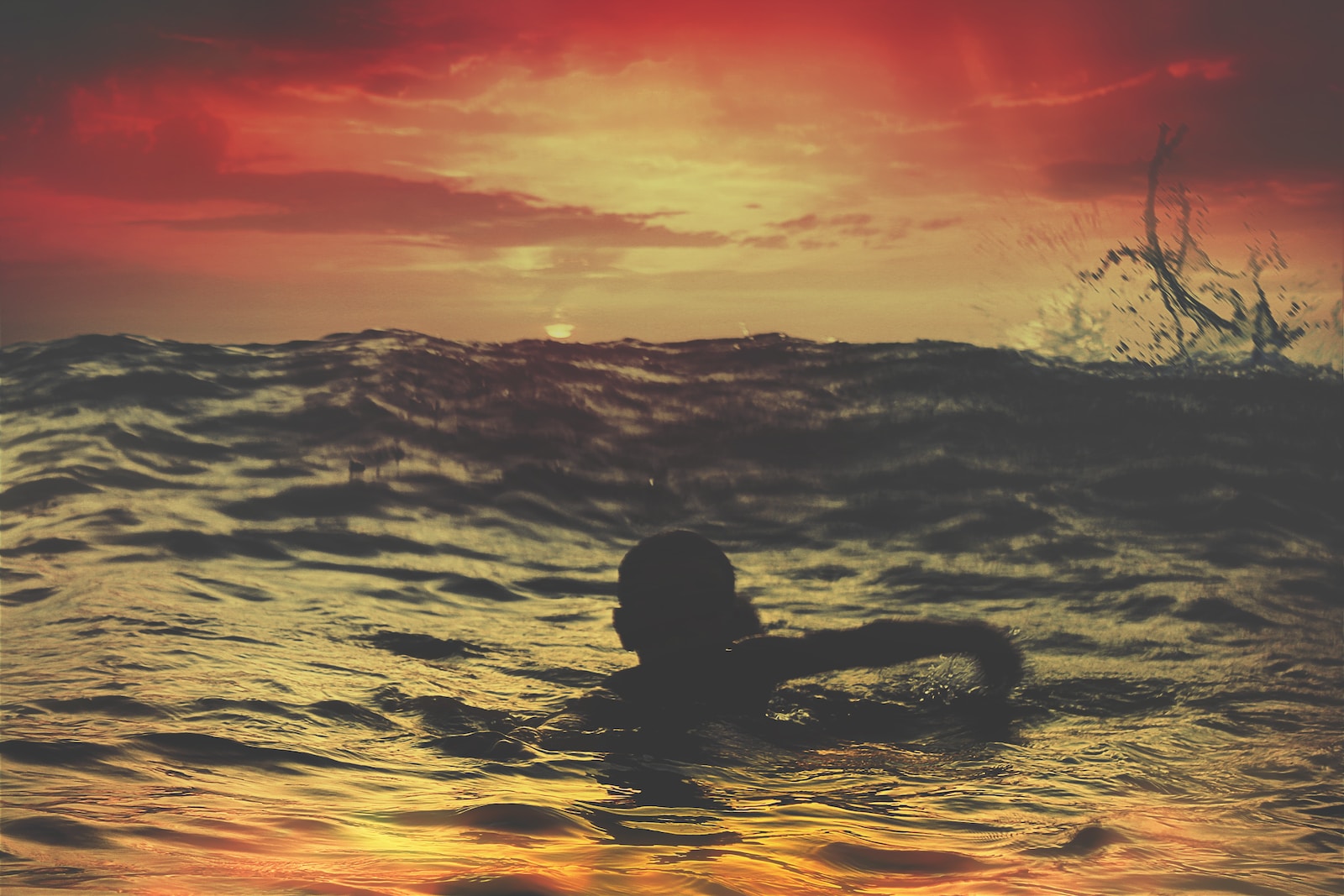 Spiritual Meaning of Swimming in the Ocean in Dreams Attract Your King