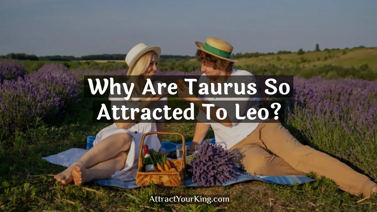 why are taurus so attracted to leo