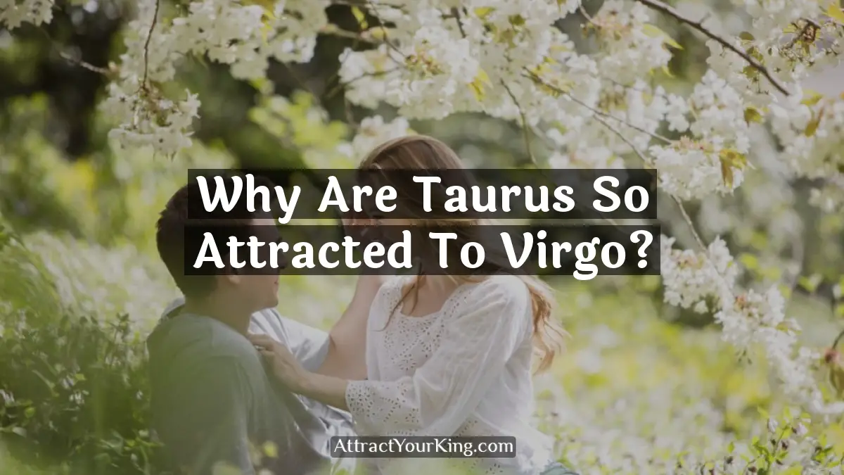 why are taurus so attracted to virgo