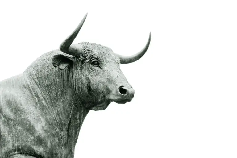 Spiritual Meaning of Dreaming About a Bull: Interpretation and Symbolism